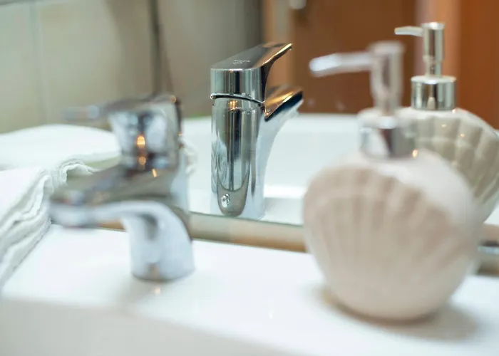 Harmony * 잘라카로쉬