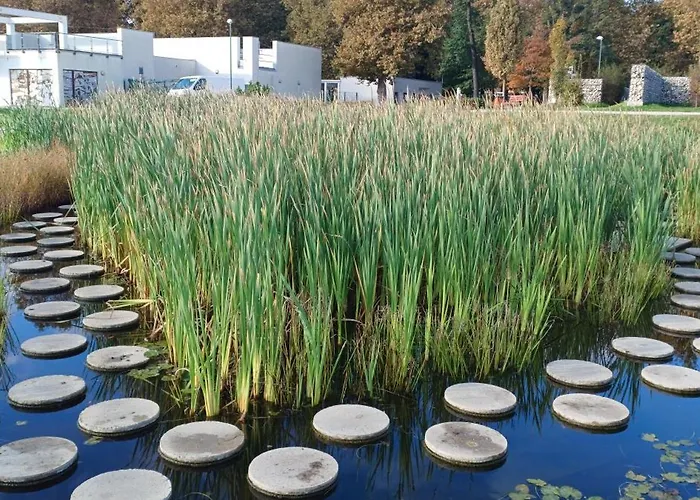 Harmony 잘라카로쉬