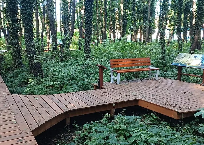 Harmony Залакарош